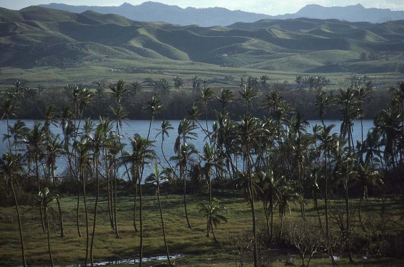 RWT 0021 006-09 Fiji.jpg